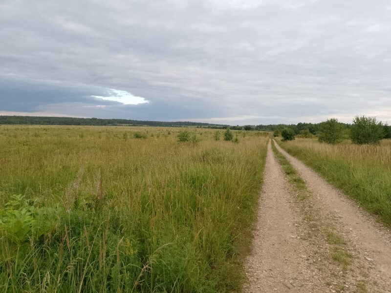 Автодорога (лыжероллеры) Н Горбово — Лызлово, состояние на 16 августа 2025 по отзыву, фото 4. В сторону озера Глубокое